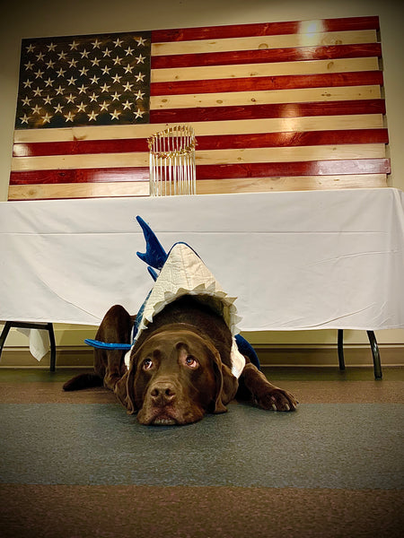 Giant 8ft Wood American Flag **PICKUP OR LOCAL DELIVERY ONLY**